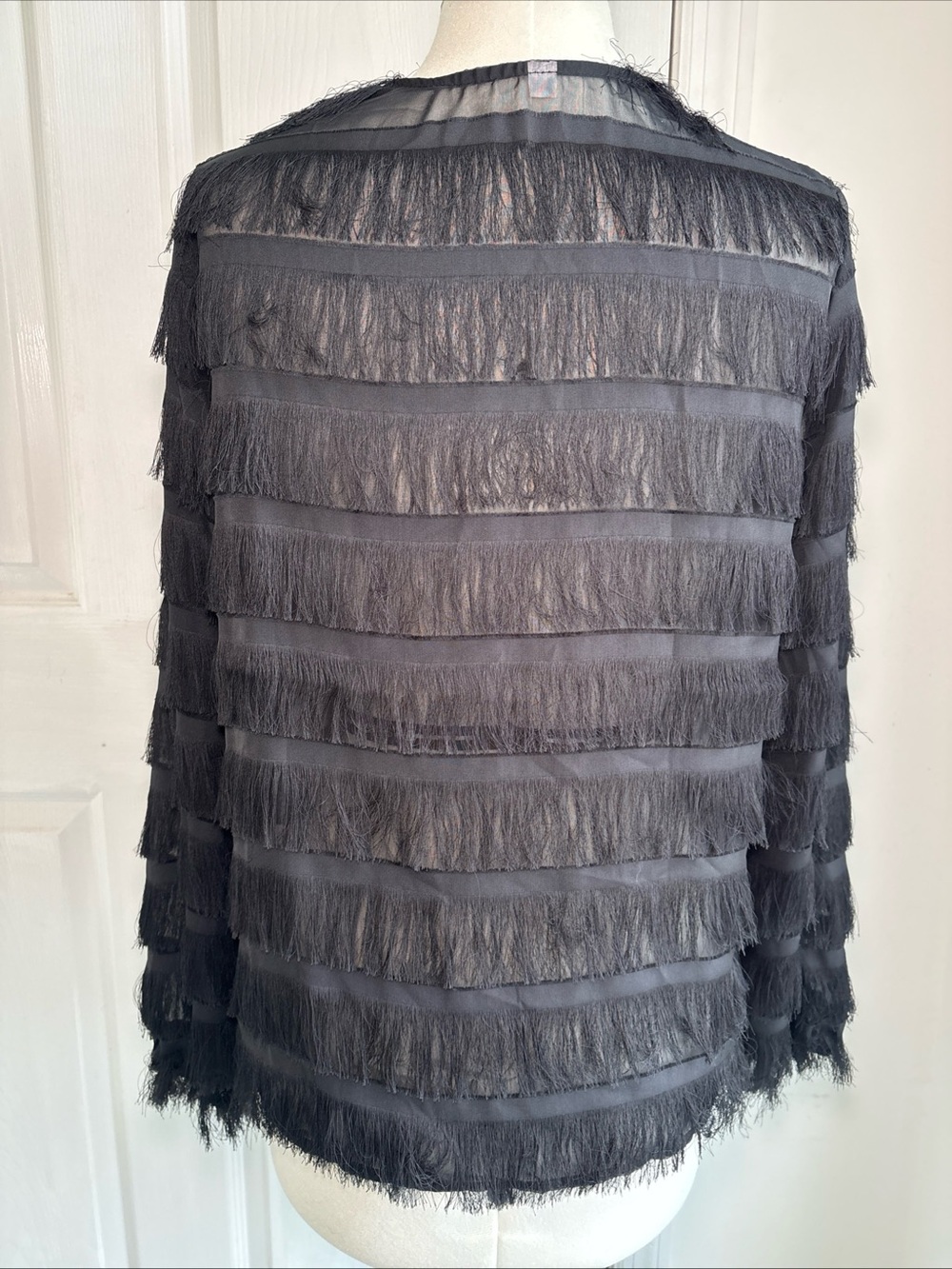 Black Fringe Sheer Button-Up Blouse - Elegant Women's Top sz Sm Holiday top - Picture 7 of 14